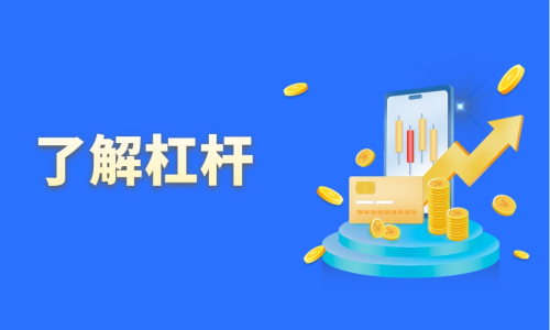 了解杠杆