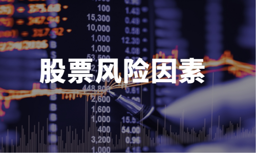 股票风险因素